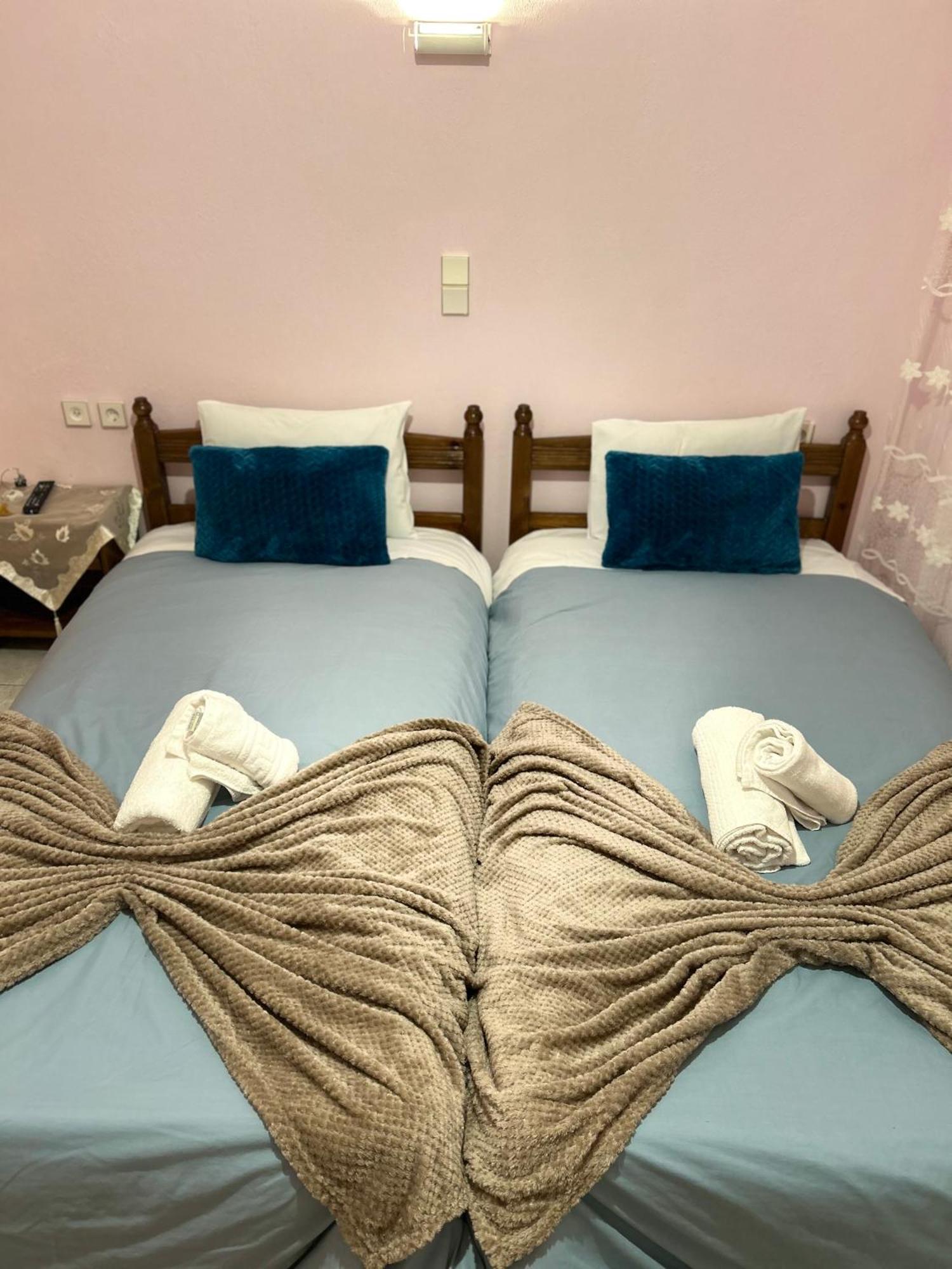 Karpouzis Guesthouse Vikos Esterno foto